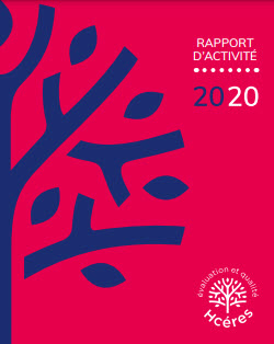 Rapport d'activité 2020