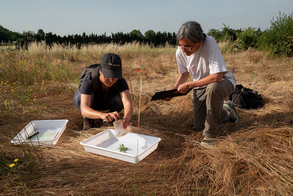 INRAE; agriculture; alimentation; environnement